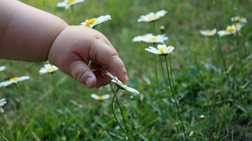 guide to choosing flowers - farm florist