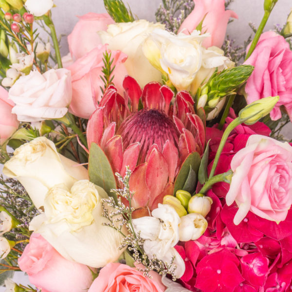 Ledley by farmflorist 2
