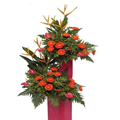 Prosperity Conratulatory Flower Stand Singapore