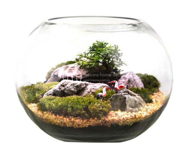 Bultnik Ready Made Terrarium