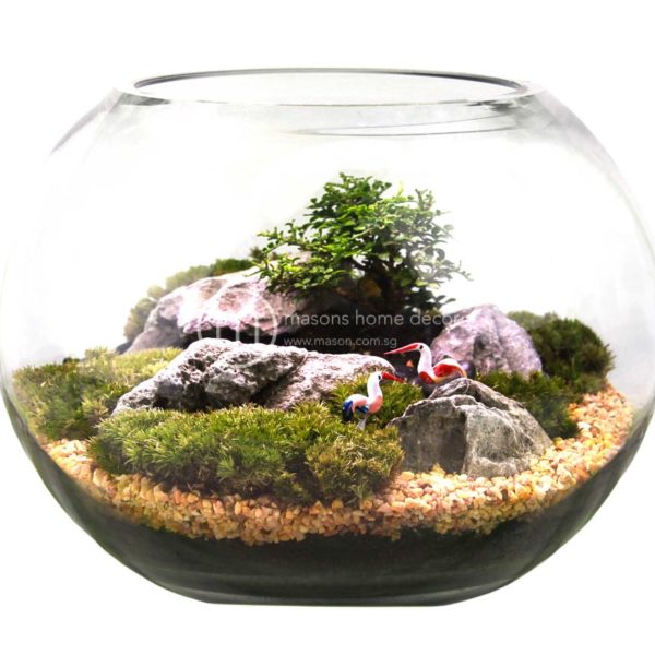 Bultnik Ready Made Terrarium