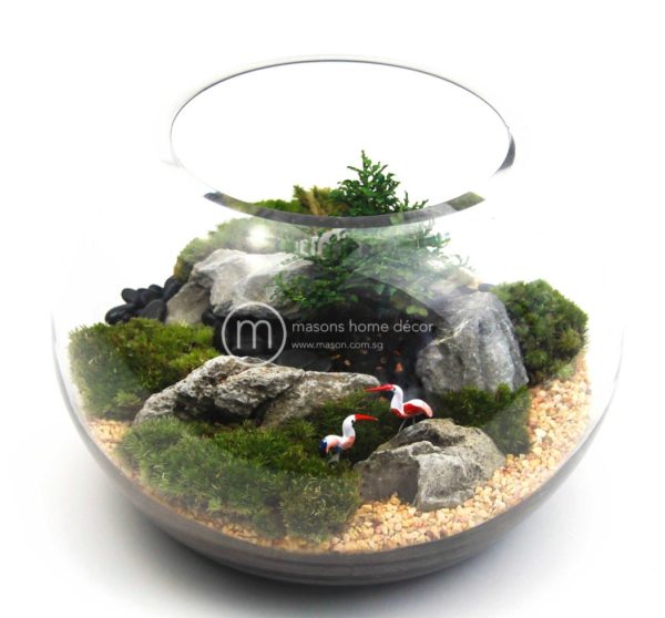 Bultnik Ready Made Terrarium