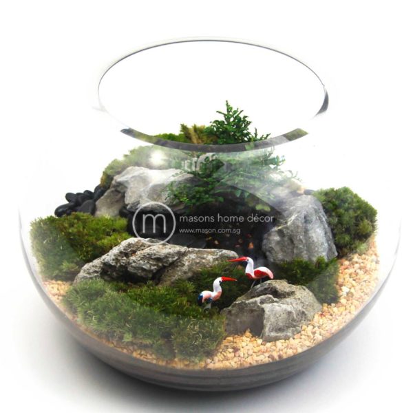 Bultnik Ready Made Terrarium