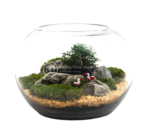 Bultnik Ready Made Terrarium