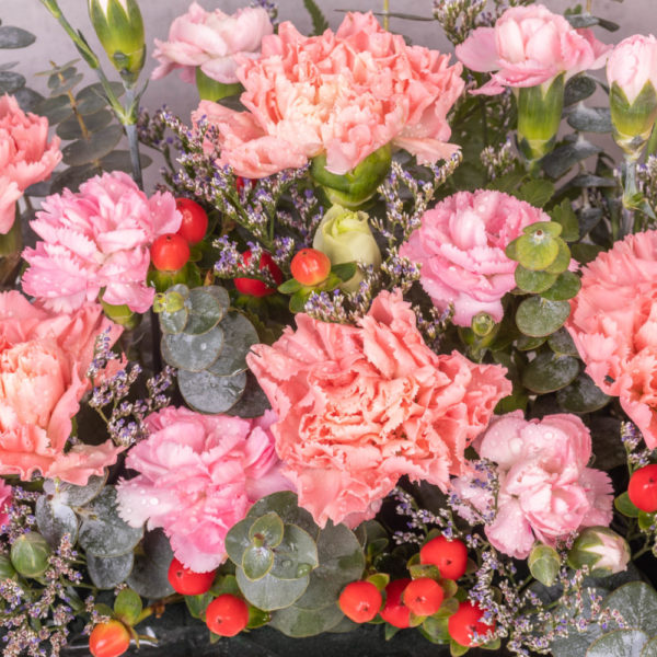 Nurturing Love by farmflorist close up