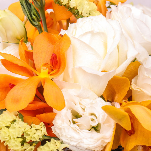 Passionate by Farm Florist