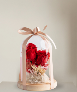 Eternal Love – Red Rose Dome
